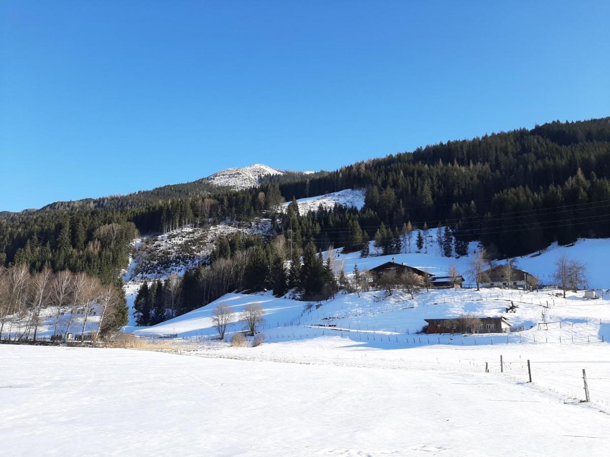 Apartments Teglbauernhof, Hütte, Chalet, Mobilheim, Appartement, Ferienwohnung, Pension, Urlaub Uttendorf Exterior foto